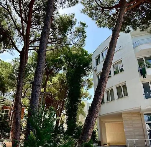 Apartment Paula's