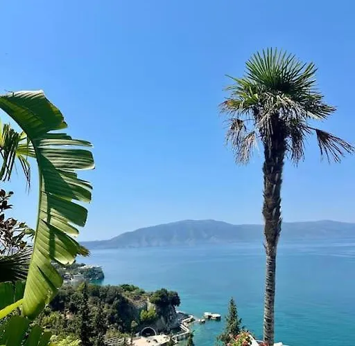 Paula's Vlore